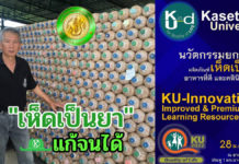 มก.ยกระดับ "เห็ดเป็นยา" แก้จนได้ และ “ถนนนวัตกรรม” ในงานเกษตรแฟร์ 65