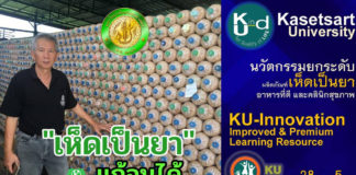 มก.ยกระดับ "เห็ดเป็นยา" แก้จนได้ และ “ถนนนวัตกรรม” ในงานเกษตรแฟร์ 65