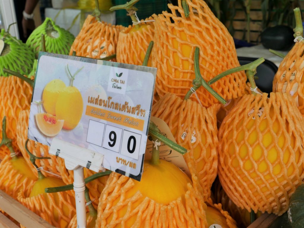 เจียไต๋ ชวนเที่ยวงานเกษตรแฟร์ 2565 ชิมสุดยอดข้าวโพดข้าวเหนียวพันธุ์ใหม่ที่แรกในไทย