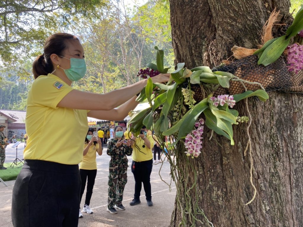 ซีพี-เมจิ มอบอุปกรณ์ป้องกันและดับไฟป่า สนับสนุนกรมอุทยานแห่งชาติฯ ดูแลทรัพยากรป่าไม้ของชาติ