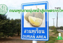 เบื้องหลังถนนทุเรียนตราด Durian Road @ Trat พร้อมเปิดต้อนรับนักท่องเที่ยวในฤดูกาลนี้