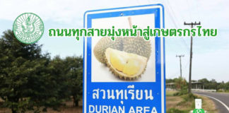 เบื้องหลังถนนทุเรียนตราด Durian Road @ Trat พร้อมเปิดต้อนรับนักท่องเที่ยวในฤดูกาลนี้