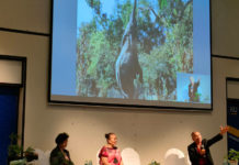 ดร.อานนท์ เอื้อตระกูล ขณะบรรยายพิเศษเรื่อง ต้นช้างเมา (มารูล่า-marula) สุดยอดผลไม้แห่งแอฟริกา