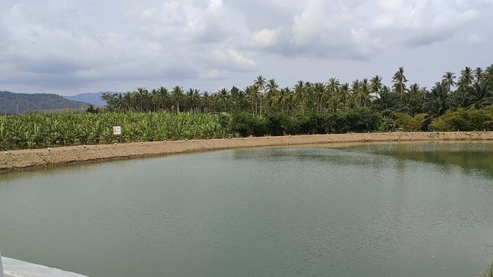 กรณีศึกษาฝายทดน้ำบ้านเกาะยายฉิม เกษตรกรในชุมชนจะมีแหล่งน้ำขนาดเล็กไว้ใช้ได้อย่างไร?
