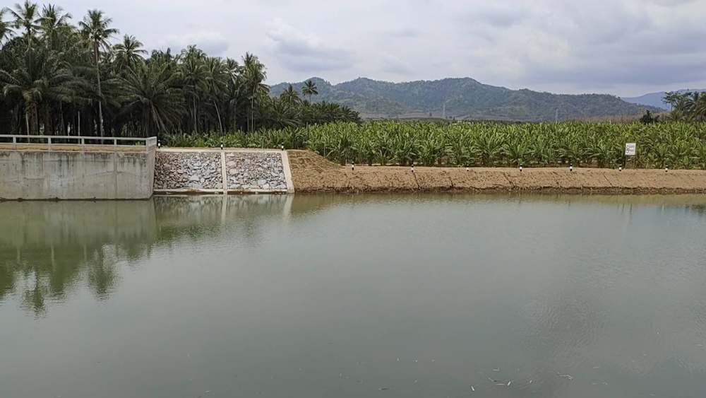 กรณีศึกษาฝายทดน้ำบ้านเกาะยายฉิม เกษตรกรในชุมชนจะมีแหล่งน้ำขนาดเล็กไว้ใช้ได้อย่างไร?
