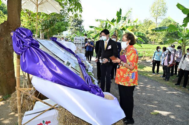 เมล็ดพันธุ์ตราศรแดงทูลเกล้าฯ ถวายเงิน สมเด็จพระกนิษฐาธิราชเจ้า กรมสมเด็จพระเทพรัตนราชสุดาฯ สยามบรมราชกุมารี จากการจำหน่ายซองฉลาดจันกะผัก