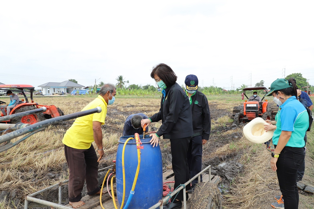 กรมส่งเสริมการเกษตรรณรงค์หยุดเผาในพื้นที่เกษตรภาคตะวันออก เน้นเทคโนโลยีการจัดการวัสดุ เผยลดเผาได้จริงทั่วประเทศ