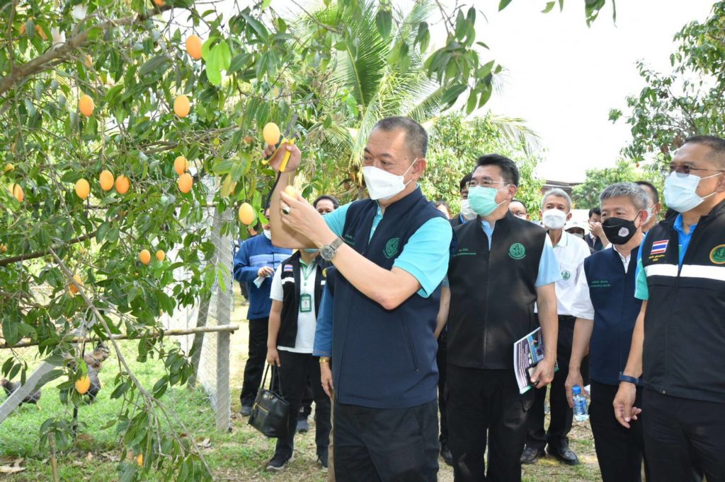 ก.เกษตรฯ ให้ความสำคัญการพัฒนาเกษตรกรรุ่นใหม่ ให้มีความรู้ความสามารถ ด้านวิชาการเกษตรทั้งระบบ รองรับการเป็นครัวโลกในอนาคต