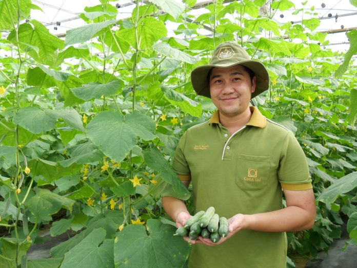 เจียไต๋ รุกหน้าพัฒนาตลาดแตงกวาในไทย เปิดตัวเมล็ดพันธุ์แตงกวามินิคิวค์ ลิซ่า ปลูกง่ายไม่ต้องผสมเกสร