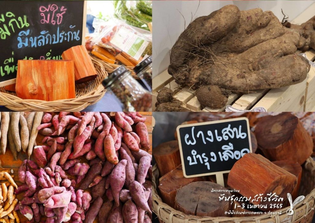 เตรียมจัดงาน“นิทรรศการหมุนเวียนพันธุกรรมสร้างชีวิต” 1-3 เมย.นี้ รำลึกในพระมหากรุณาธิคุณ“ด้านการอนุรักษ์พันธุกรรม”