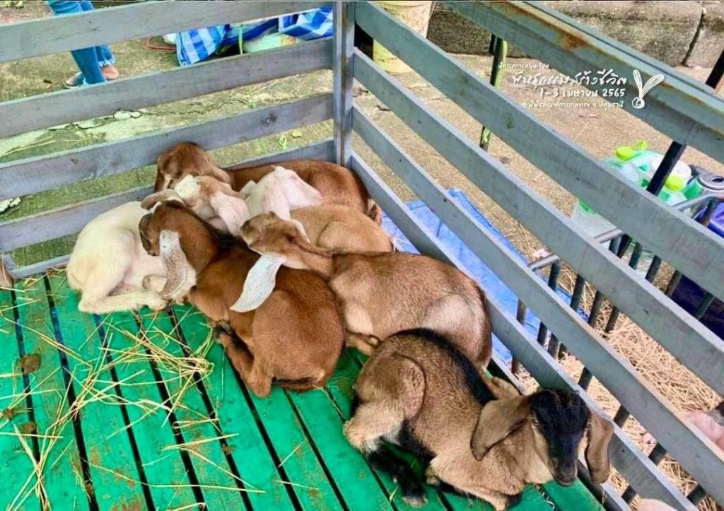 เตรียมจัดงาน“นิทรรศการหมุนเวียนพันธุกรรมสร้างชีวิต” 1-3 เมย.นี้ รำลึกในพระมหากรุณาธิคุณ“ด้านการอนุรักษ์พันธุกรรม”