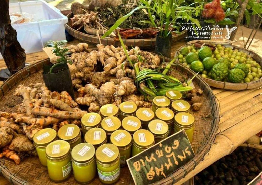 เตรียมจัดงาน“นิทรรศการหมุนเวียนพันธุกรรมสร้างชีวิต” 1-3 เมย.นี้ รำลึกในพระมหากรุณาธิคุณ“ด้านการอนุรักษ์พันธุกรรม”