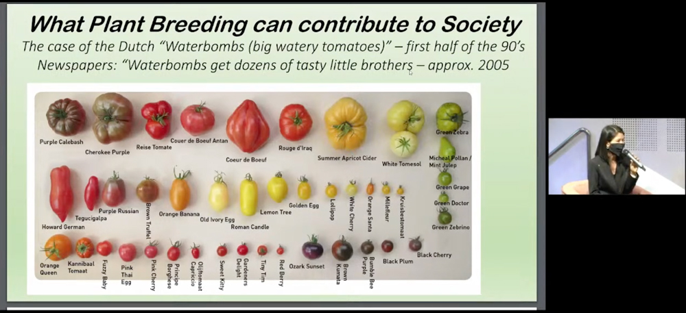 แนะเพิ่มขีดความสามารถวิสาหกิจไทยตั้งเป็น Global Seed Hub เตรียมรับมือกฎหมาย UPOV 1991