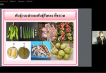 แนะเพิ่มขีดความสามารถวิสาหกิจไทยตั้งเป็น Global Seed Hub เตรียมรับมือกฎหมาย UPOV 1991