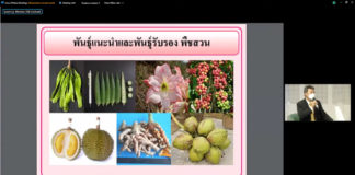 แนะเพิ่มขีดความสามารถวิสาหกิจไทยตั้งเป็น Global Seed Hub เตรียมรับมือกฎหมาย UPOV 1991