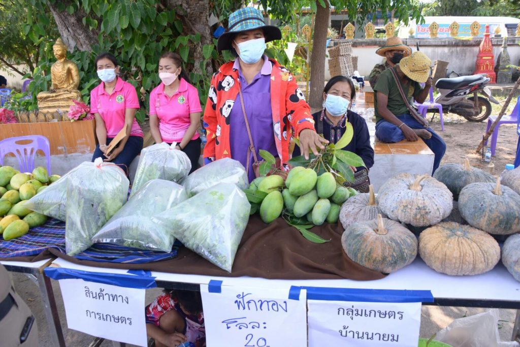 รมช.ประภัตร นำทีมกระทรวงเกษตรฯ ลุยซำสูง น้ำพอง จังหวัดขอนแก่น ผลักดันโครงการสานฝันสร้างอาชีพ ยกระดับรายได้เกษตรกร ชวนเกษตรกรปลูกฟักทอง พร้อมประกันราคารับซื้อ มั่นใจสร้างอาชีพ สร้างรายได้สู่ครัวเรือน