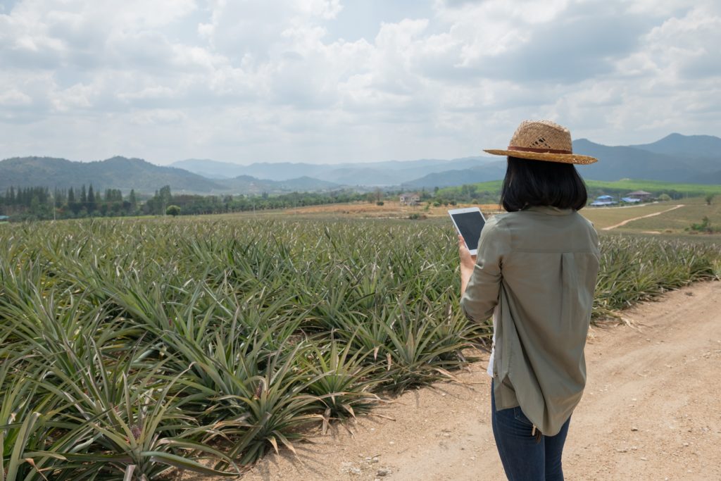 เอ็นไอเอเร่งแจ้งเกิดสตาร์ทอัพสายเกษตร หวังอัพจีดีพี – นำดีพเทคช่วยภาคเกษตรไทย พร้อมเปิดโครงการ Inno4Farmers 2022 ปั้นฮีโร่รุ่นใหม่ทรานส์ฟอร์มเกษตรไทยด้วยเทคฯขั้นสูง