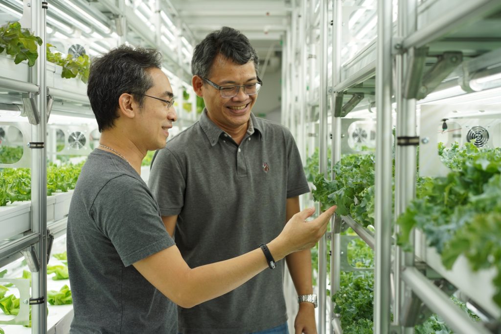 รู้จัก “FlexiFarm” ต้นแบบ “ฟาร์มสำเร็จ” กับโมเดลธุรกิจคอนเทนเนอร์ฟาร์ม นวัตกรรมการปลูกผักสดเพื่อคนไทย