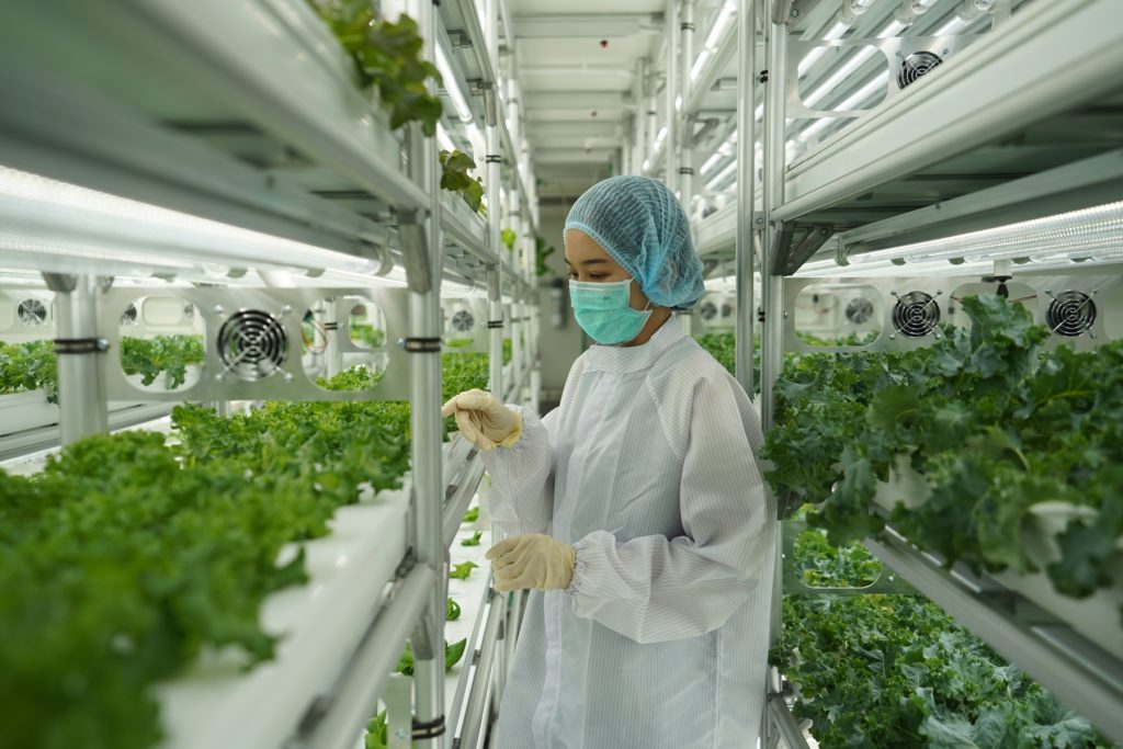 รู้จัก “FlexiFarm” ต้นแบบ “ฟาร์มสำเร็จ” กับโมเดลธุรกิจคอนเทนเนอร์ฟาร์ม นวัตกรรมการปลูกผักสดเพื่อคนไทย