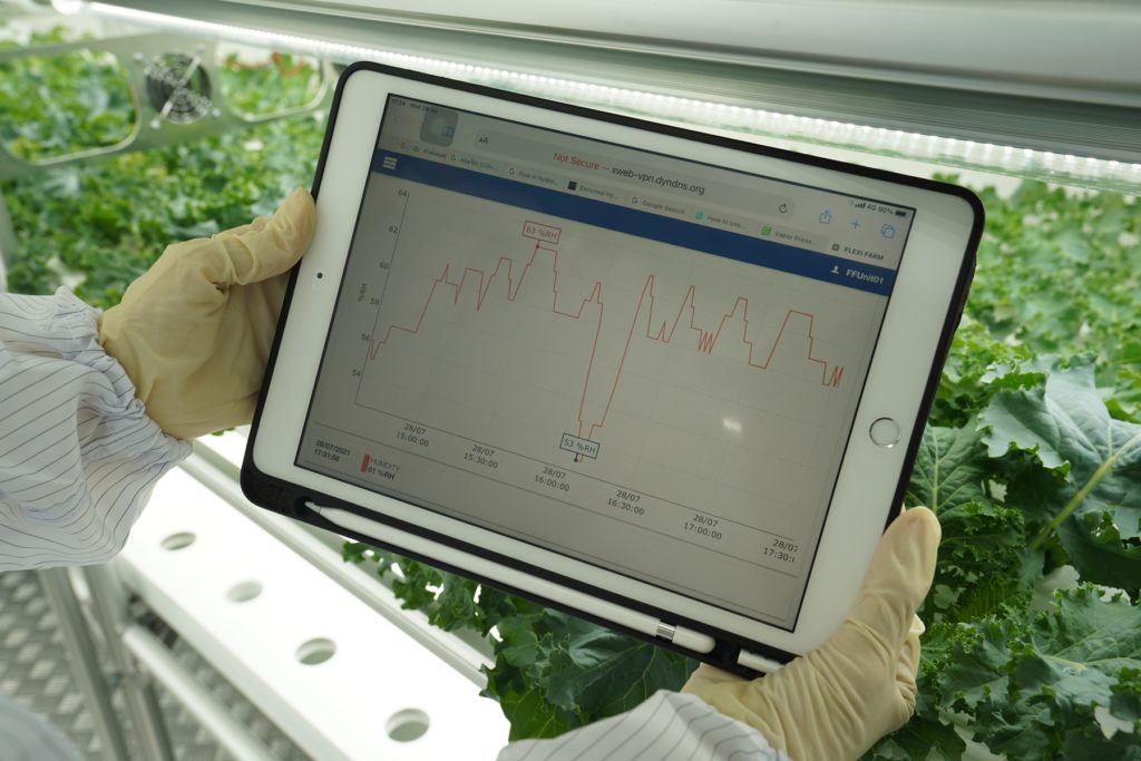 รู้จัก “FlexiFarm” ต้นแบบ “ฟาร์มสำเร็จ” กับโมเดลธุรกิจคอนเทนเนอร์ฟาร์ม นวัตกรรมการปลูกผักสดเพื่อคนไทย