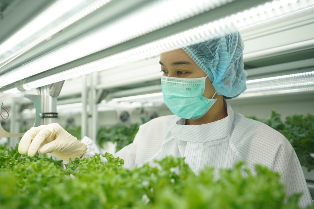 รู้จัก “FlexiFarm” ต้นแบบ “ฟาร์มสำเร็จ” กับโมเดลธุรกิจคอนเทนเนอร์ฟาร์ม นวัตกรรมการปลูกผักสดเพื่อคนไทย