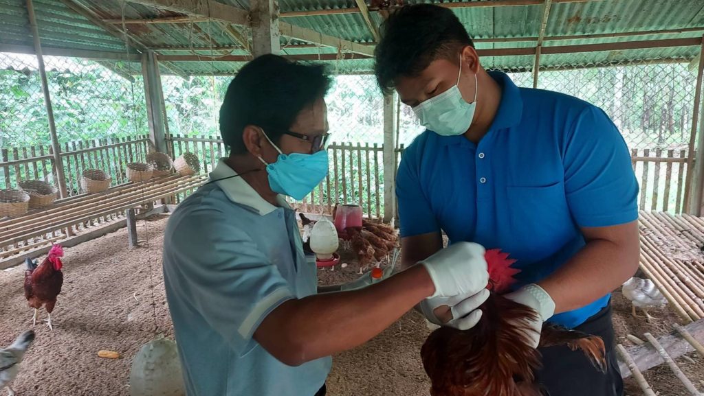 ปศุสัตว์พร้อมรับมือโรคไข้หวัดนกในสัตว์ปีก