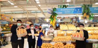 เร่งส่งออกผลไม้ 2.8 แสนล้าน “เกษตร-พาณิชย์” ผนึกทีมไทยแลนด์โปรโมทผลไม้ไทยทั่วโลก