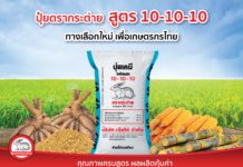 ปุ๋ยตรากระต่ายเปิดตัวปุ๋ยสูตรใหม่ 10-10-10 ทางเลือกใหม่เพื่อเกษตรกร เหมาะสำหรับข้าวและพืชไร่ทุกชนิด