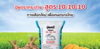 ปุ๋ยตรากระต่ายเปิดตัวปุ๋ยสูตรใหม่ 10-10-10 ทางเลือกใหม่เพื่อเกษตรกร เหมาะสำหรับข้าวและพืชไร่ทุกชนิด