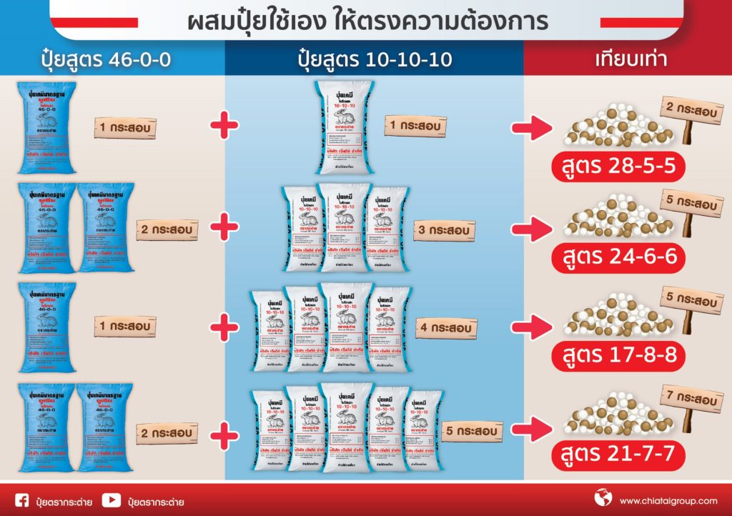 ปุ๋ยตรากระต่ายเปิดตัวปุ๋ยสูตรใหม่ 10-10-10 ทางเลือกใหม่เพื่อเกษตรกร เหมาะสำหรับข้าวและพืชไร่ทุกชนิด