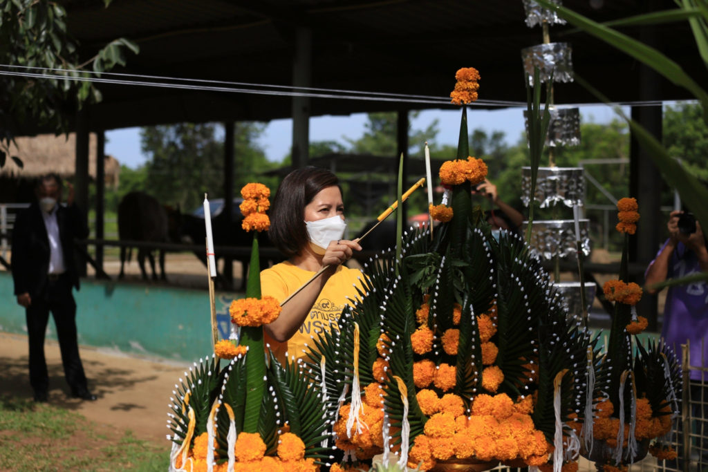 อนุรักษ์กระบือไทย ไม่ให้สูญพันธุ์ “ทิพยสืบสาน รักษา ต่อยอด นวัตกรรมศาสตร์พระราชา ครั้งที่ 18”