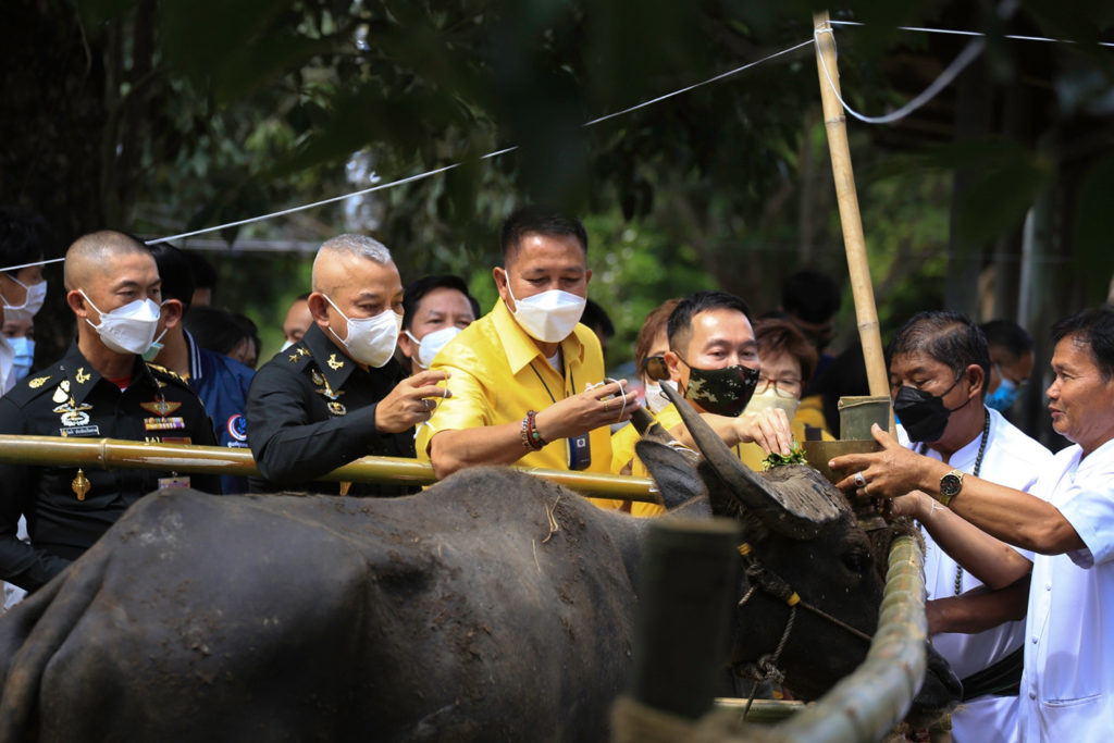 อนุรักษ์กระบือไทย ไม่ให้สูญพันธุ์ “ทิพยสืบสาน รักษา ต่อยอด นวัตกรรมศาสตร์พระราชา ครั้งที่ 18”