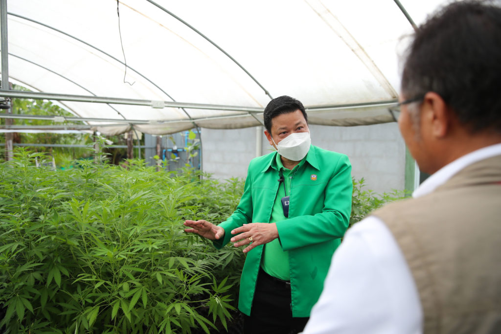 ธ.ก.ส. เติมทุน 5 พันล้าน ชูบุรีรัมย์โมเดล หนุนผลิตพืชสมุนไพรเพื่อการแพทย์