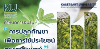 ม. เกษตรศาสตร์ วิทยาเขตเฉลิมพระเกียรติ จังหวัดสกลนคร ขอเชิญอบรม เรื่อง “การปลูกกัญชาเพื่อการใช้ประโยชน์ทางการแพทย์” รุ่นที่ 9 วันที่ 23 กรกฎาคม 2565