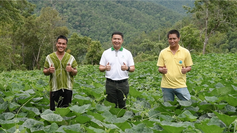 มูลนิธิเจริญโภคภัณฑ์พัฒนาชีวิตชนบท ผนึกกำลัง โลตัส  รับซื้อ "ฟักทอง" ล็อตแรกจากเกษตรกรในโครงการอมก๋อยโมเดล 