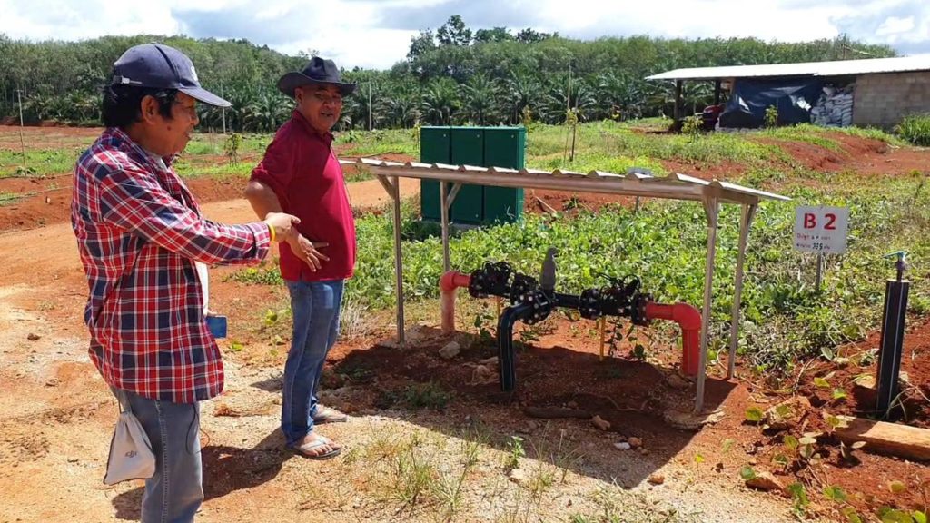 แวะไปดูทุเรียนปลูกใหม่ 100 ไร่ กลางขุนเขากระบี่ ปลูกให้รอด 100% วางแผนจัดการอย่างไร?