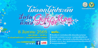 กรมส่งเสริมการเกษตร เชิญชมถ่ายทอดสดงาน Gift for Mom ไม้ดอกไม้ประดับสื่อรักถึงแม่