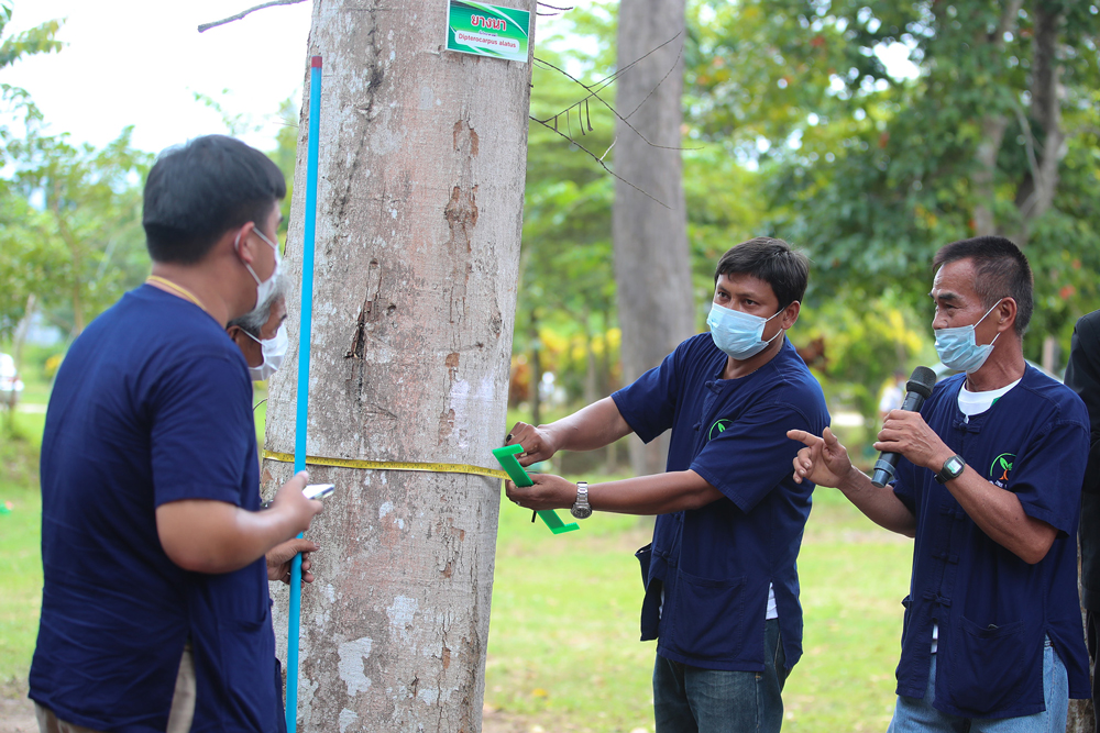 ธ.ก.ส. เปิดตัวแอปฯ Tree Bank สร้างฐานข้อมูลต้นไม้ พร้อมเพิ่มมูลค่าสู่หลักทรัพย์ค้ำประกันและรายได้จากคาร์บอนเครดิต