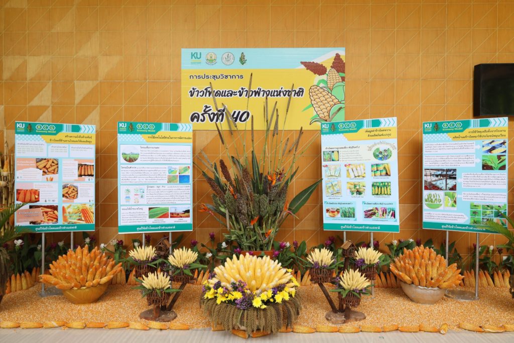 มก.เป็นเจ้าภาพหลักจัดการประชุมวิชาการข้าวโพดข้าวฟ่างแห่งชาติ ครั้งที่ 40 ภายใต้หัวข้อ พลิกพื้นเกษตรไทยด้วยวิจัยและนวัตกรรม BCG