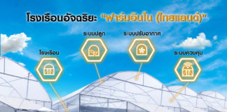 ปลูกกัญชาทางการแพทย์ ควบคุมคุณภาพผลิตผลได้ ด้วยระบบโรงเรือนอัจฉริยะ “ฟาร์มอินโน (ไทยแลนด์)”