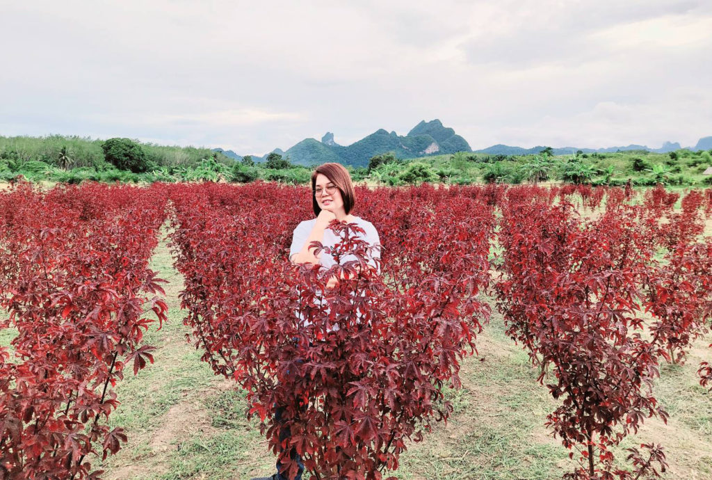 นางสาวอัจฉราพร รำเพย หรือ “รวงข้าว” ประธานกลุ่ม