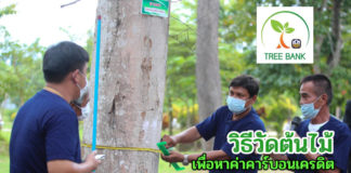 ธนาคารต้นไม้ tree bank บ้านเขานาใน สาธิตวิธีวัดและประเมินมูลค่าต้นไม้ ให้ได้เงินคาร์บอนเครดิต 144,900 บาท