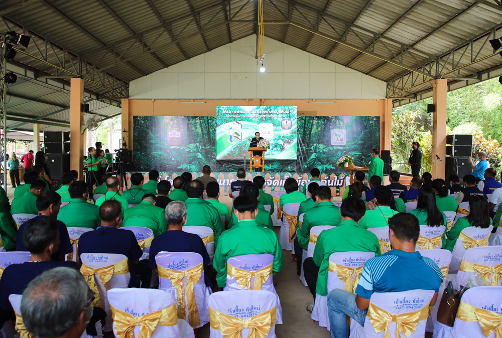 วันเปิดตัวแอปพลิเคชั่น tree bank ธนาคารต้นไม้ 