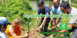 โครงการปลูกมะพร้าวน้ำหอม 100 วัด ปลูกต้นแรกที่วัดหนองขาม จ.กำแพงเพชร