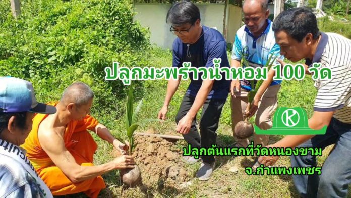 โครงการปลูกมะพร้าวน้ำหอม 100 วัด ปลูกต้นแรกที่วัดหนองขาม จ.กำแพงเพชร