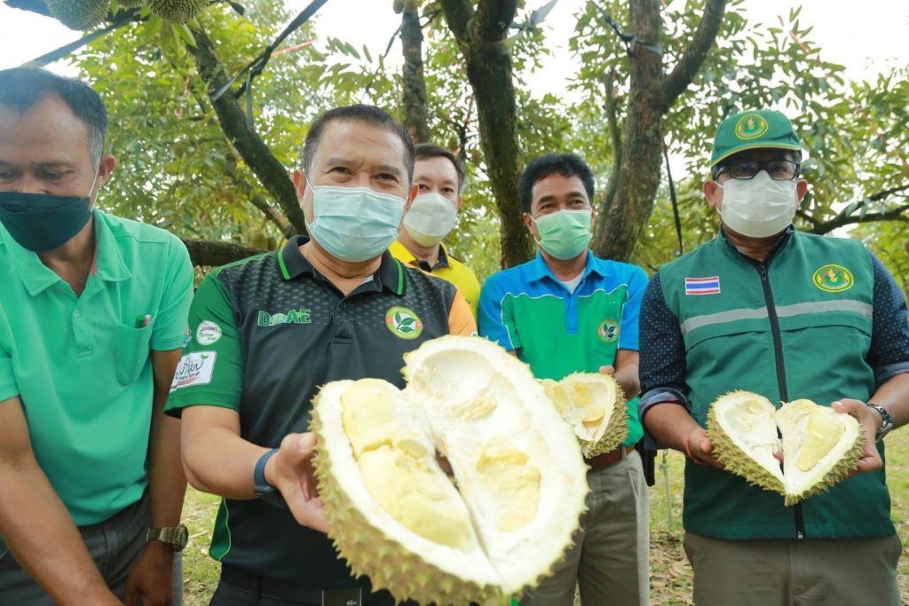 ลงพื้นที่แก้ไขปัญหาทุเรียนอ่อนในช่วงฤดูกาลที่ผ่านมา