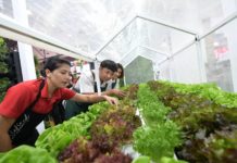 ธนวัฒน์ ว่องไวตระการ “Young Smart Farmer” เกษตรกรรุ่นใหม่ กับการพลิกแนวคิด เพิ่มมูลค่าผลผลิต ตอบเทรนด์ผู้บริโภค