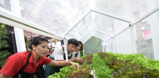 ธนวัฒน์ ว่องไวตระการ “Young Smart Farmer” เกษตรกรรุ่นใหม่ กับการพลิกแนวคิด เพิ่มมูลค่าผลผลิต ตอบเทรนด์ผู้บริโภค