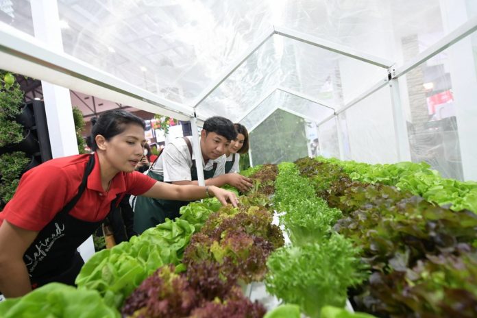 ธนวัฒน์ ว่องไวตระการ “Young Smart Farmer” เกษตรกรรุ่นใหม่ กับการพลิกแนวคิด เพิ่มมูลค่าผลผลิต ตอบเทรนด์ผู้บริโภค