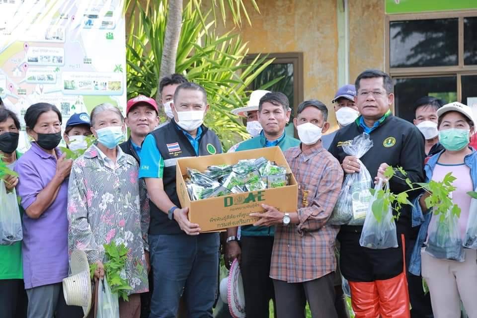 กรมส่งเสริมการเกษตร เร่งจัดชุดพืชพันธุ์ดี ชีวภัณฑ์ ช่วยเหลือเกษตรกรหลังน้ำลดทันที ครอบคลุมทุกพื้นที่ประสบภัย